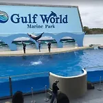 Aqua 203